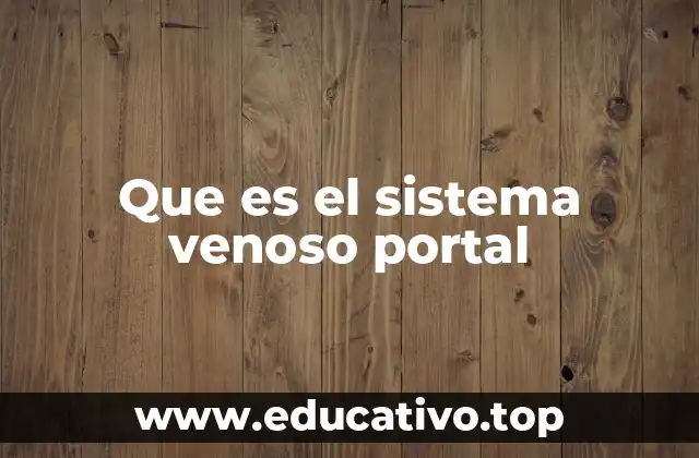 Que es el sistema venoso portal