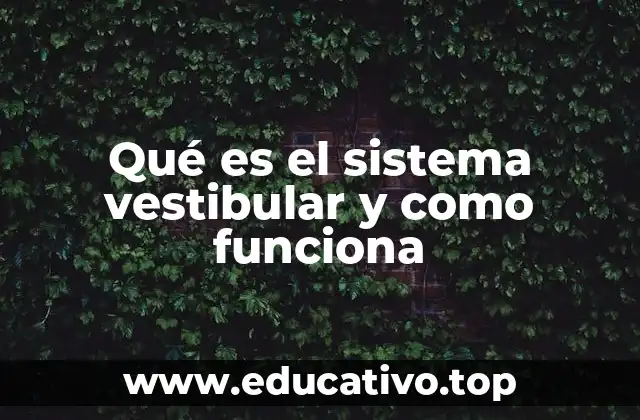 Qué es el sistema vestibular y como funciona