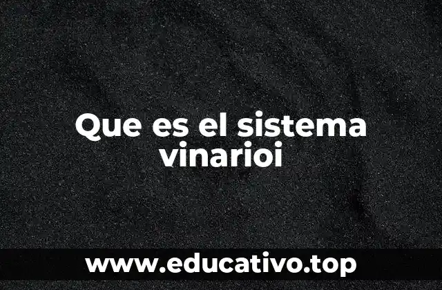 Que es el sistema vinarioi