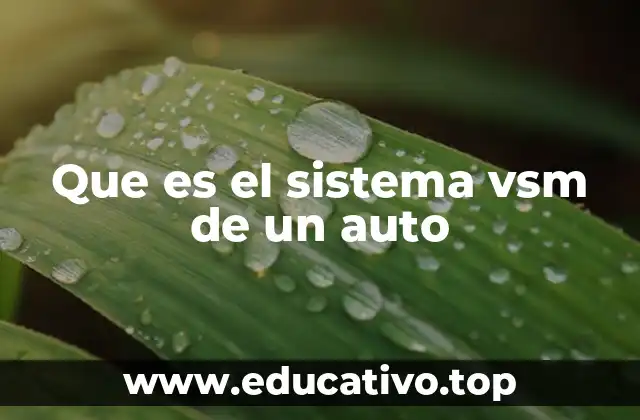 Cómo funciona el sistema VSM en la seguridad activa del auto