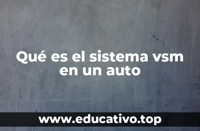 Qué es el sistema vsm en un auto