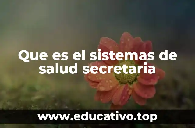 Que es el sistemas de salud secretaria