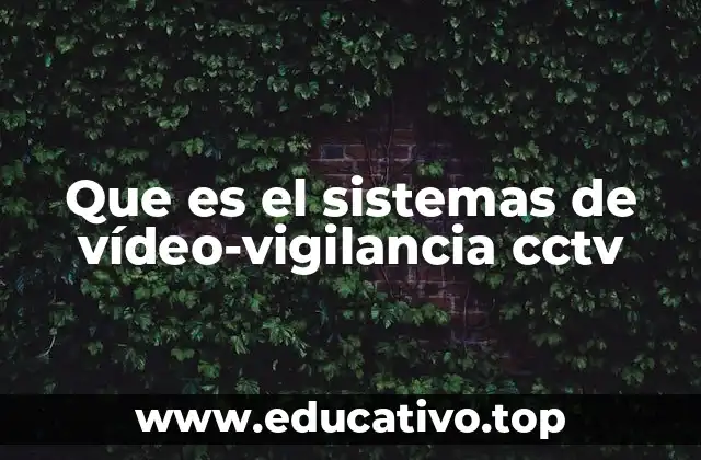 Que es el sistemas de vídeo-vigilancia cctv