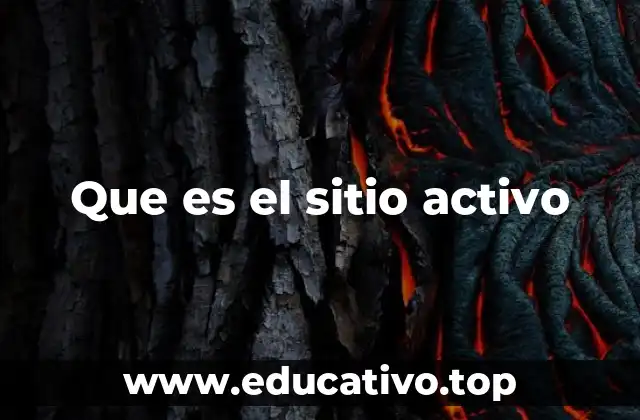 Que es el sitio activo