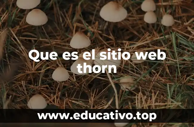 Que es el sitio web thorn