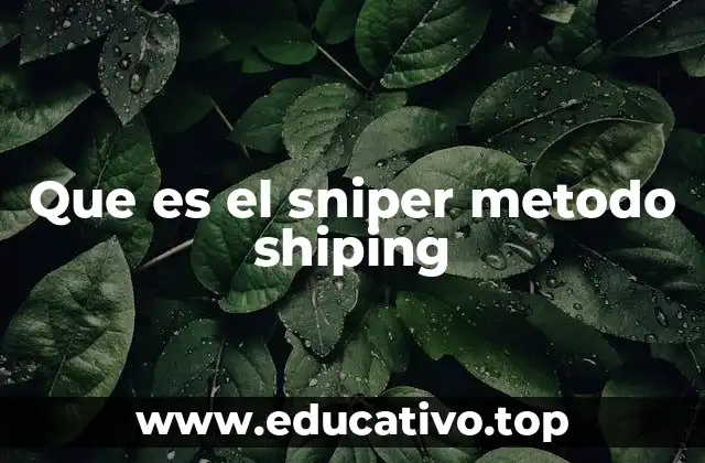 Que es el sniper metodo shiping