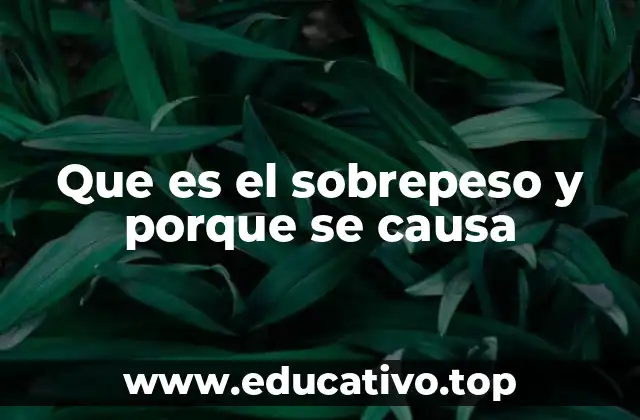 Que es el sobrepeso y porque se causa