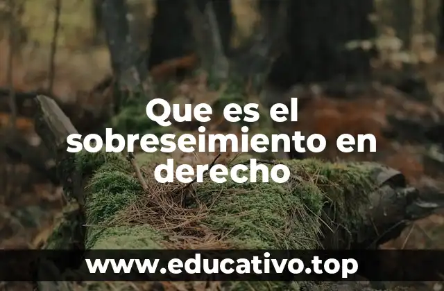 Que es el sobreseimiento en derecho