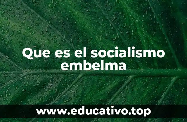 Que es el socialismo embelma