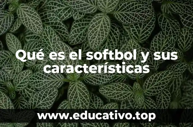 Qué es el softbol y sus características