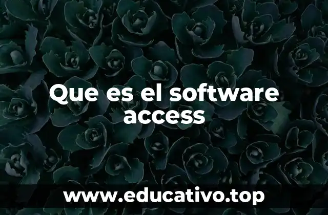 Que es el software access