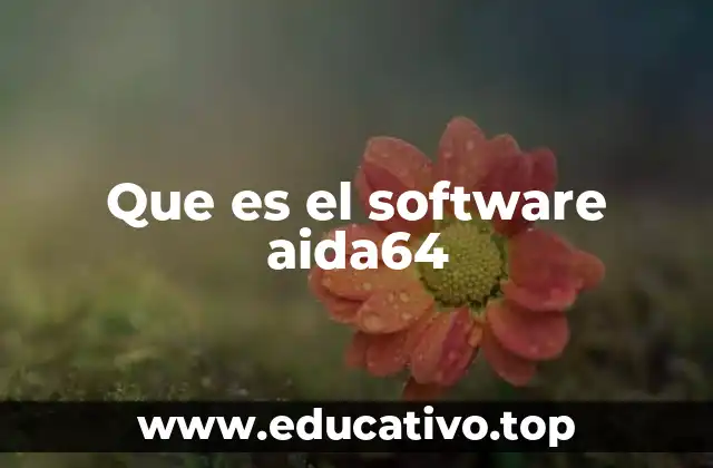 Que es el software aida64