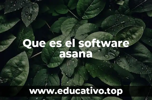 Que es el software asana