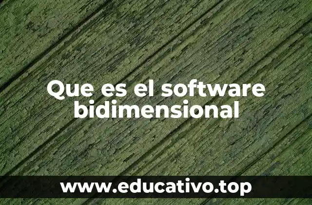 Que es el software bidimensional