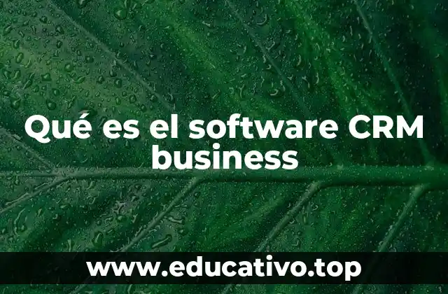 Qué es el software CRM business