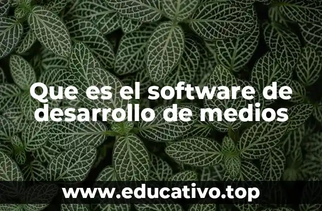 Que es el software de desarrollo de medios