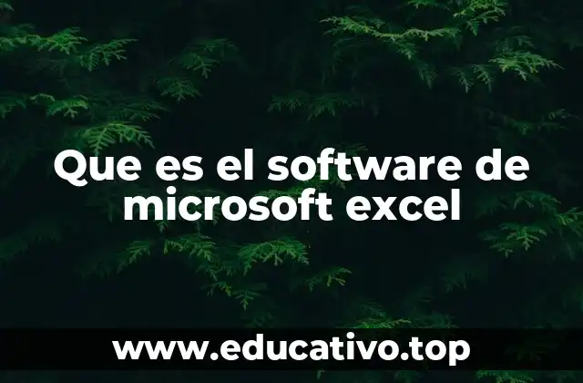Que es el software de microsoft excel