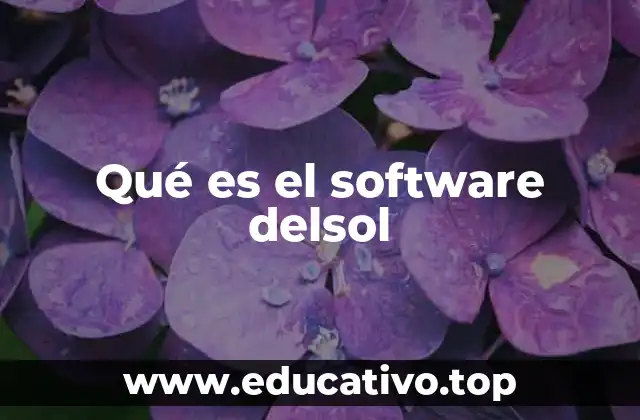 Qué es el software delsol