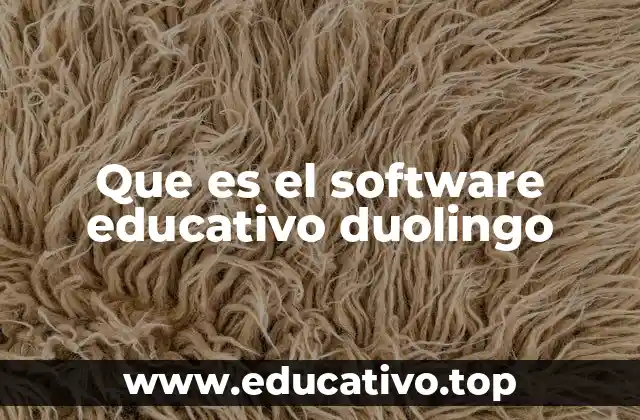 Que es el software educativo duolingo