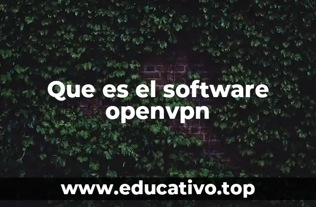 Que es el software openvpn
