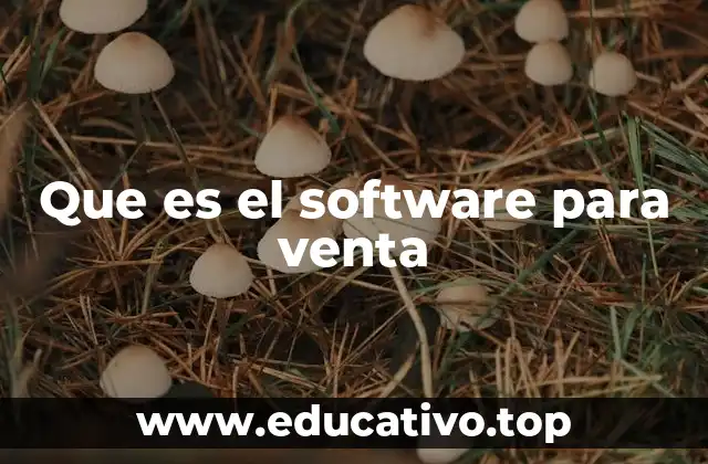 Que es el software para venta