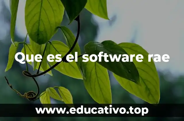 Que es el software rae