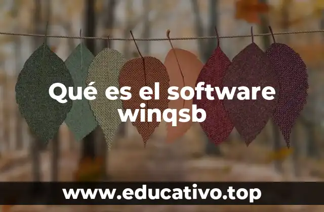 Qué es el software winqsb