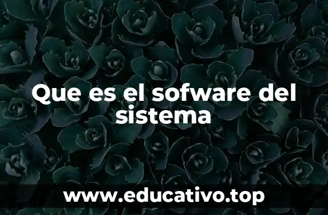 Que es el sofware del sistema