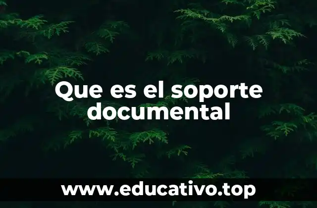 Que es el soporte documental