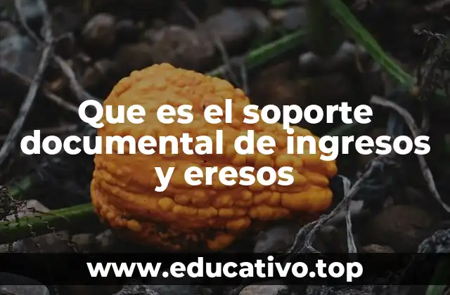Que es el soporte documental de ingresos y eresos