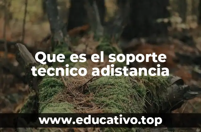 Que es el soporte tecnico adistancia