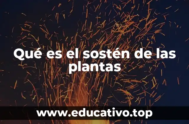 Qué es el sostén de las plantas