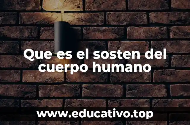Que es el sosten del cuerpo humano