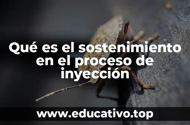 Qué es el sostenimiento en el proceso de inyección