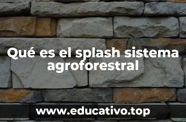 Qué es el splash sistema agroforestral
