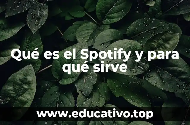 Qué es el Spotify y para qué sirve