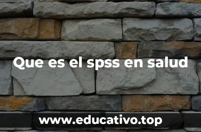 Que es el spss en salud