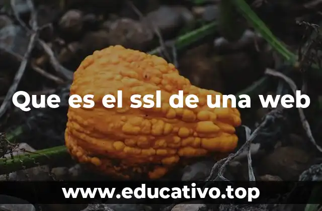 Que es el ssl de una web