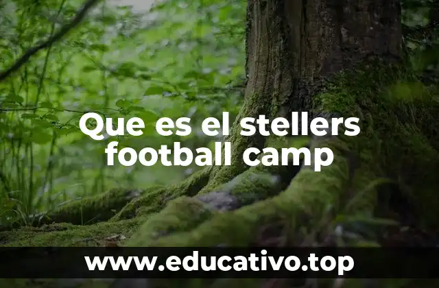 Que es el stellers football camp