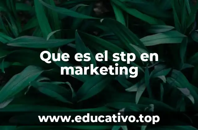Que es el stp en marketing