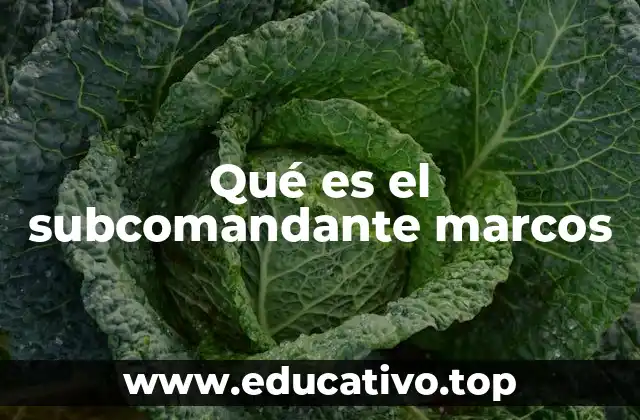 Qué es el subcomandante marcos