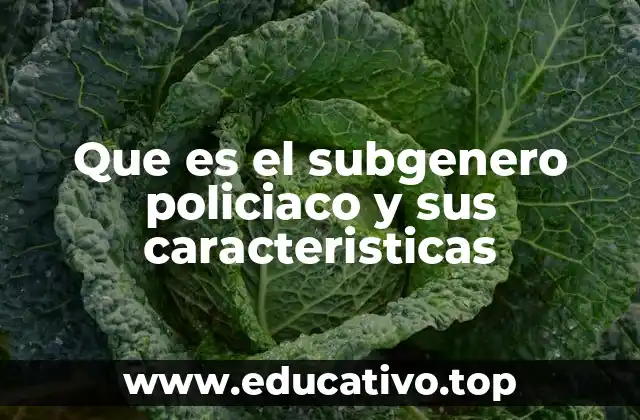 Que es el subgenero policiaco y sus caracteristicas