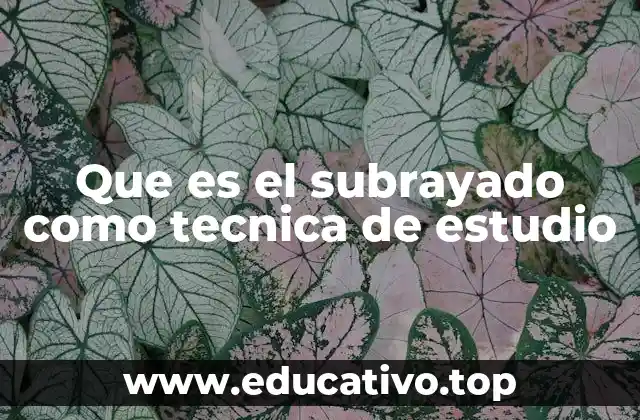 Que es el subrayado como tecnica de estudio