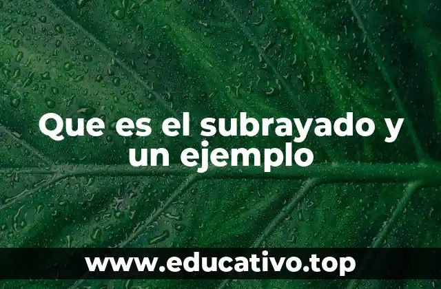 Que es el subrayado y un ejemplo