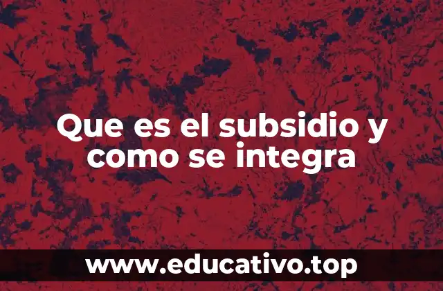 Que es el subsidio y como se integra