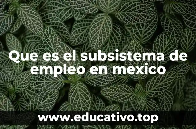 Que es el subsistema de empleo en mexico