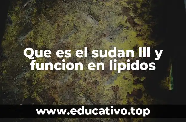 Que es el sudan lll y funcion en lipidos