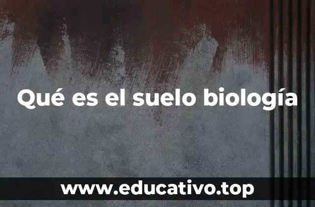 Qué es el suelo biología