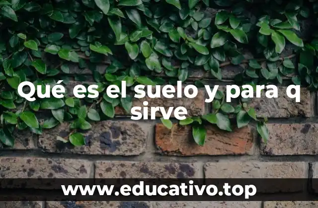 Qué es el suelo y para q sirve