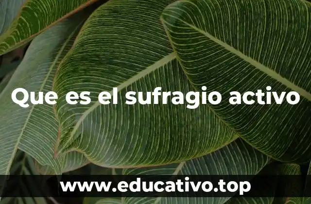 Que es el sufragio activo